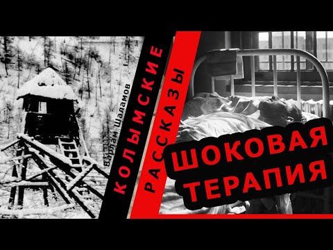 Видео: ШОКОВАЯ ТЕРАПИЯ |Варлам Шаламов. Колымские рассказы.