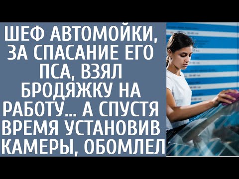 Видео: Шеф автомойки, за спасание его пса взял бродяжку на работу… А спустя время установив камеры, обомлел