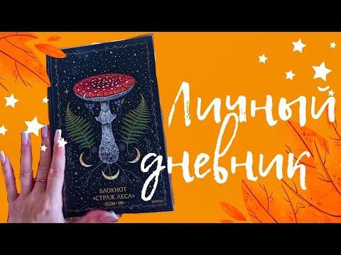 Видео: 🍄ЛИЧНЫЙ ДНЕВНИК ВЕСНА-ЛЕТО 25🍄