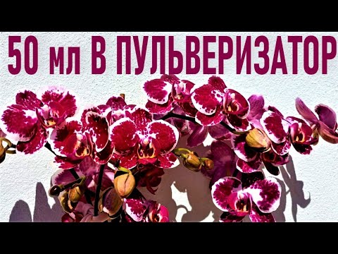 Видео: ДОБАВЬТЕ 50 МЛ ЭТОГО В ПУЛЬВЕРИЗАТОР И ОРХИДЕИ ЗАЦВЕТУТ ШАПКАМИ ЦВЕТОВ! 🌞ПРОВЕРЕНО! РЕЗУЛЬТАТ 100%!🌞