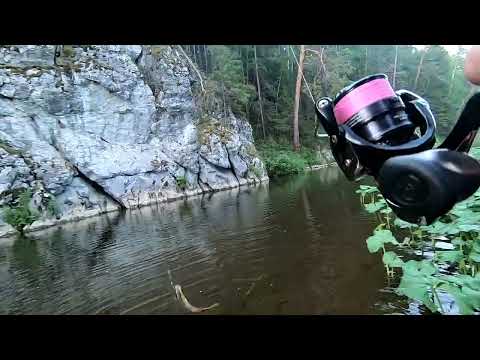 Видео: Шишим. Пытаемся поймать хариуса.