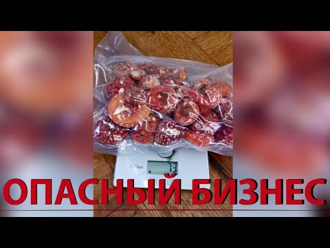 Видео: Бизнес по продаже мухоморов. Что он из себя представляет и чем опасен? // Микродозинг мухоморов