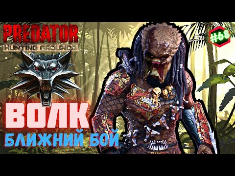 Видео: Predator Hunting Grounds ➤ ВОЛК ближний бой ➤ ОХОТА #68 #predator