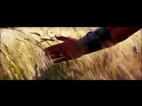 Видео: Владимир Высоцкий. Баллада о борьбе. Гладиатор. Vysotsky The ballad of fighting. Gladiator.