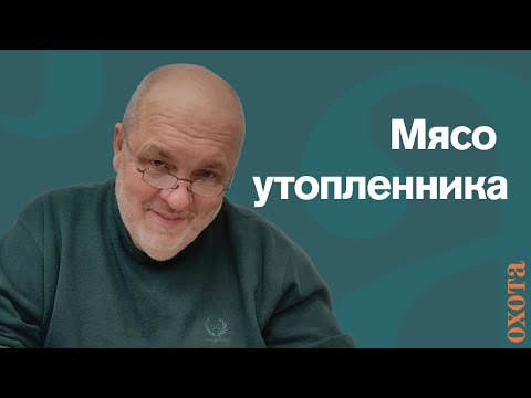 Видео: Мясо утопленного бобра. Валерий Кузенков о том, какое мясо лучше.
