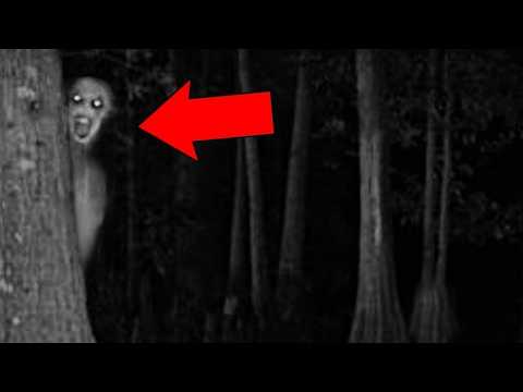 Видео: Ночевка в Лесу Обернулась Ужасом│Жуткие Видео из Кемпинга