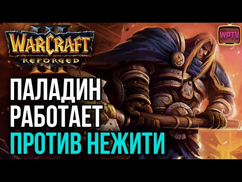 Видео: ПАЛАДИН ПЕРВЫМ ГЕРОЕМ МОЖЕТ РАБОТАТЬ: Warcraft 3 Reforged