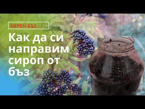 Видео: Сироп от черен бъз (бъзак) как да си направим стъпка по стъпка. (Elderberry syrup)