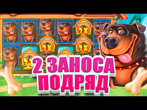 Видео: СЛОВИЛ 2 МОЩНЕЙШИХ ЗАНОСА ПОДРЯД В THE DOG HOUSE MEGAWAYS!!! ОГРОМНЫЙ ОКУП!!!