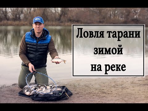 Видео: Ловля тарани зимой на реке