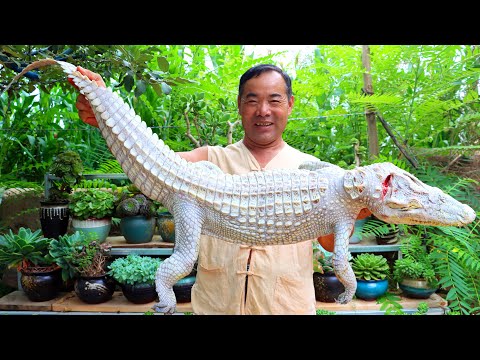 Видео: РЕДКИЙ крокодил, запеченный в листьях лотоса и желтой глине! Удивительный деликатес!