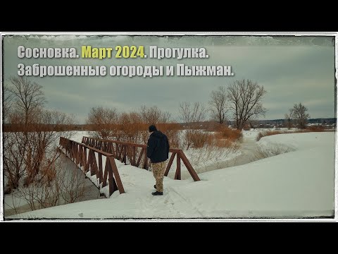 Видео: #Сосновка. #Прогулка в #Пыжман через #заброшенные_огороды. #март2024.