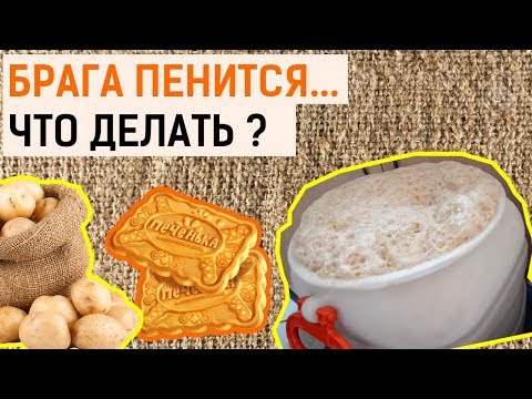 Видео: Пена на браге! Почему пенится брага? И как погасить пену?