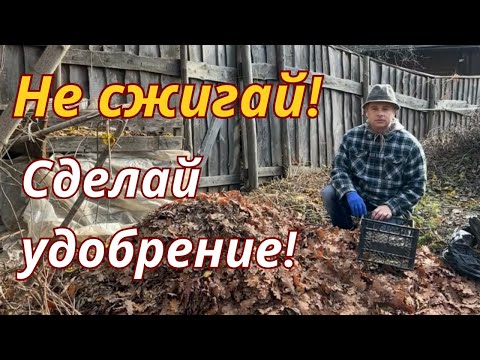Видео: Куда девать листья с огорода? Превращаем в перегной и мульчу