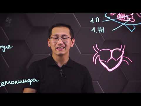 Видео: Эволюция и особенности строения сердечно-сосудистой системы животных. 8 класс.