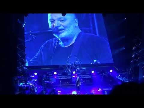 Видео: Вадим Самойлов(гр. Агата Кристи) - Сказочная тайга. 5.04.2025 г.