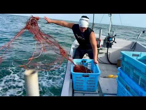 Видео: put the net на полной скорости! Один неверный шаг — и пальцы отлетят!