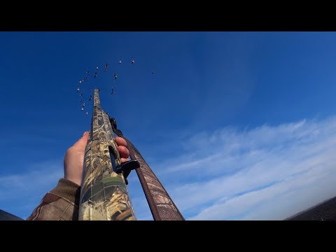 Видео: Охота на гуся в одиночку на болоте. Отлично поохотился. Goose hunting alone in the swamp.