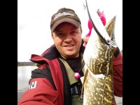 Видео: Ловля щуки осенью на Угре. Mottomo Aringo.