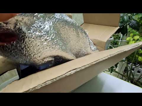 Видео: РОЗПАКОВКА. Рослини в горохах🤩 таких в мене ще не було)