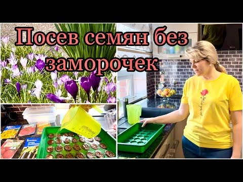 Видео: Быстрый Способ  Посева  семян Томатов и Баклажан на Рассаду / Весеннее настроение