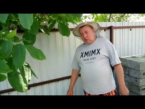 Видео: Забираю ИО карпатку у Александра Лемешева