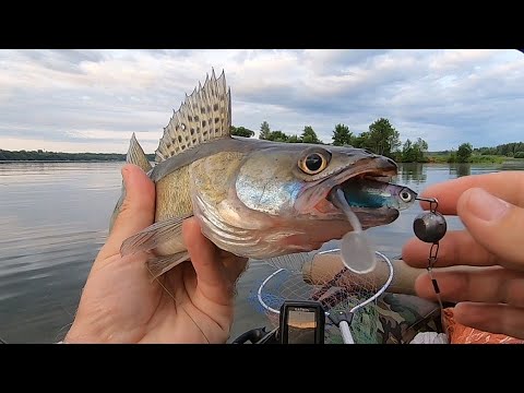 Видео: ТАКОГО КЛЁВА МЫ НЕ ОЖИДАЛИ! Джиг на Волге в июле