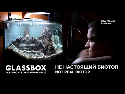 Видео: НЕ настоящий биотоп. Not real biotop. Glassbox