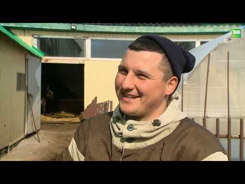 Видео: Туган җир 05/04/2024