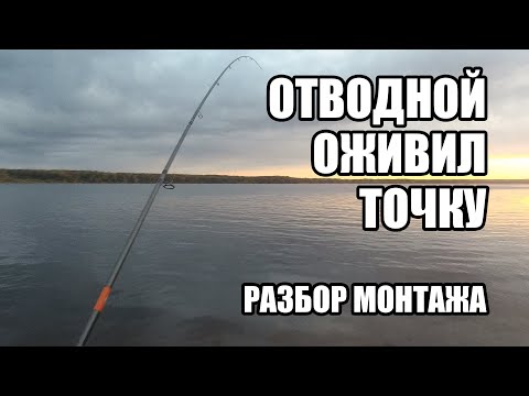 Видео: Отводной поводок оживил точку. Описание монтажа. Спиннинг Нижегородская область