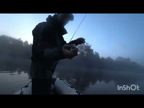 Видео: Daiwa steez minnow 110sp ,судак оценил.