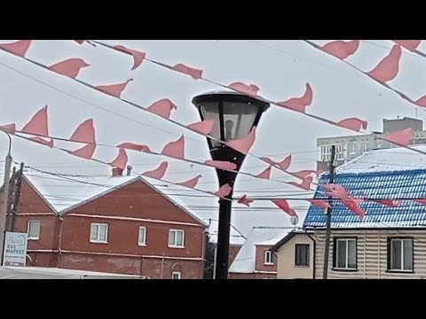 Видео: День 7 ноября, не красный день календаря.