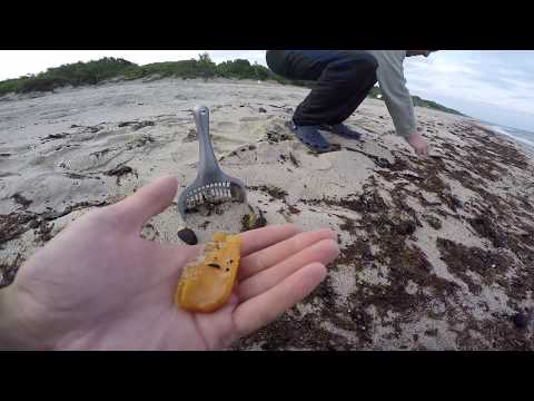 Видео: Янтарь на пляжном копе