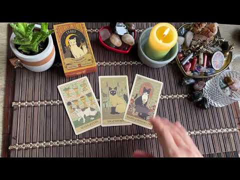 Видео: Важно знать‼️