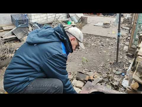 Видео: Дружковка 18 ноября утро на птичьем дворе