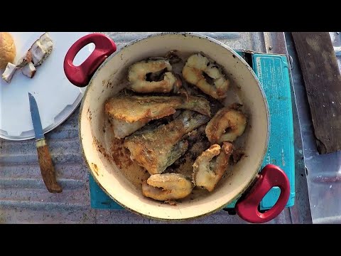 Видео: ВСТРЕЧА ДРУЗЕЙ НА ПЕЧОРЕ #7 \ НАС ОСТАЛОСЬ ДВОЕ \ ПРОГУЛКА ПО ТИМУШБОРУ \ ЖАРИМ ЩУКУ \ БАЙКИ О БЫЛОМ