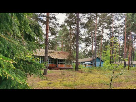 Видео: Заброшенный пионерский лагерь «Орленок"