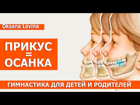 Видео: Развиваем артикуляцию, гимнастика для языка. Миогимнастика для детей. My Child Has an Overbite