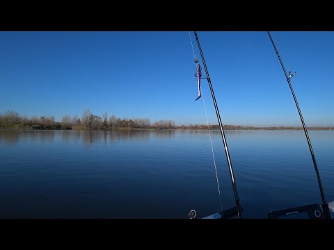 Видео: Рыбалка с лодки на спиннинг  13.10.24 Камские поляны , 3 канал