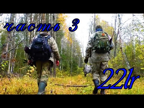 Видео: 22 lr / В ГЛУХАРИНЫЙ РАЙ С МЕЛКАШКОЙ.часть 3