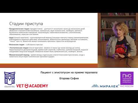 Видео: Лекция «Пациент с эпистатусом на приеме терапевта».