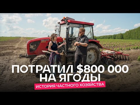 Видео: Фермер вложил в ягоды $800 000. «Кроме МТЗ, ничего не советовали!»