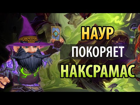 Видео: Наур покоряет Наксрамас в Hearthstone