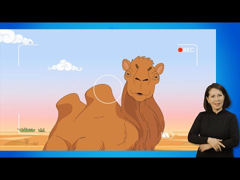 Видео: Munkh Tunkh - Full episode 5 | Season 1 - Sign language | Мөнх Тунх 5-р анги - Дохионы хэлтэй