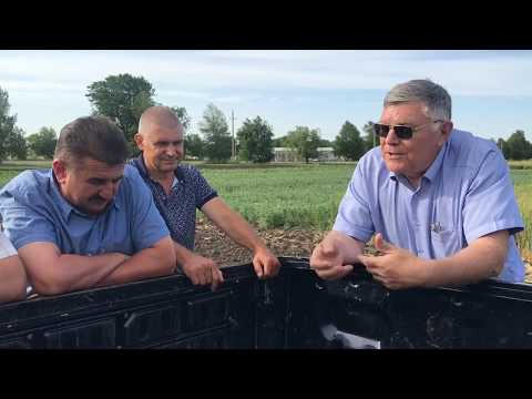 Видео: Биологизация земледелия