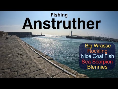 Видео: Морская рыбалка в Шотландии — Файф — гавань Анструтер — различные виды наживок
