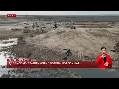Видео: Где экопарк? Талдыколь продолжают осушать