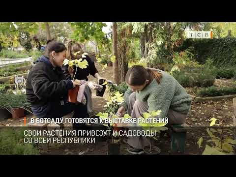 Видео: В ботсаду готовятся к выставке растений
