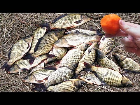 Видео: Насадка для рыбалки о которой не знают 90% рыбаков.