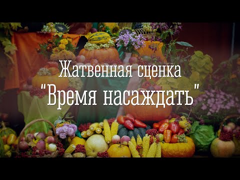Видео: Жатвенная сценка "Время насаждать"